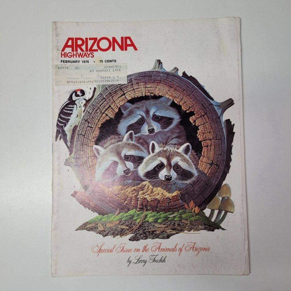 Arizona Highways Artwork Magazine February 1976 Larry Toschik Bobcat‎ Deer Fawn
